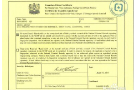 宁德无犯罪记录翻译公司